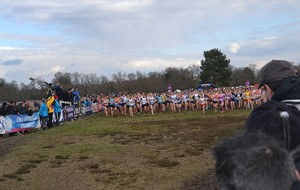 56dd5ef305705_francecross201655.jpg