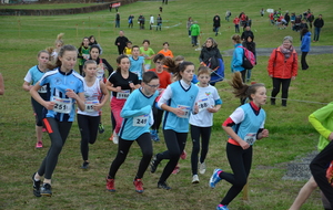 Chpt régional de cross à Falaise